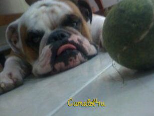 Cumalot4u