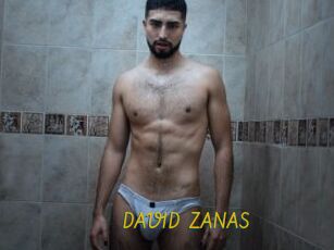 DAVID_ZANAS