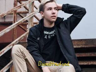 DavidHowIand