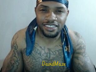 David_Maze