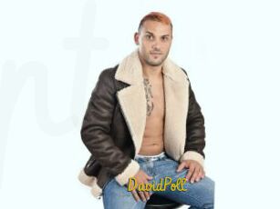 DavidPoll