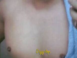 Diggstop