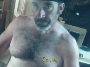 Darmic