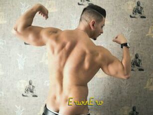 ErwinErv