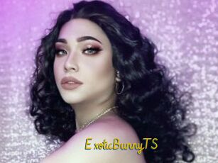 ExoticBunnyTS