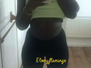 Ebony_flamingo