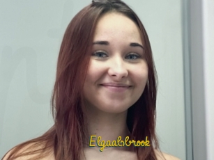 Elgaalsbrook