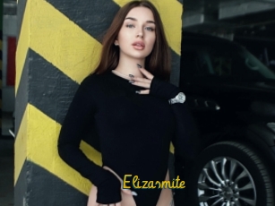 Elizasmite