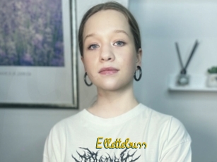 Ellettebuss