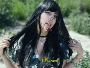Elsaneal