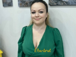 Elsasteret
