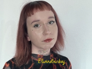 Elwinebuskey