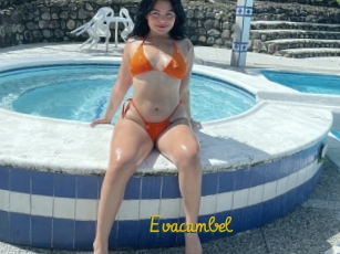 Evacambel