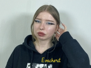 Evacherit