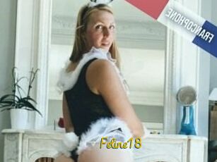Feline18