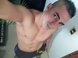 Fenix_S