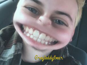 Greyteddybear
