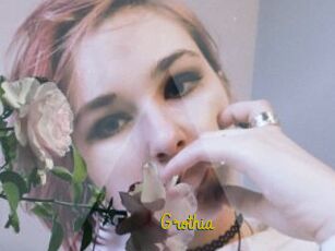 Grothia