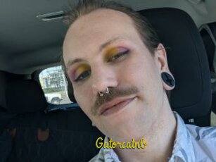 Gatorcatnb