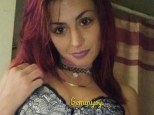 Geminijoy