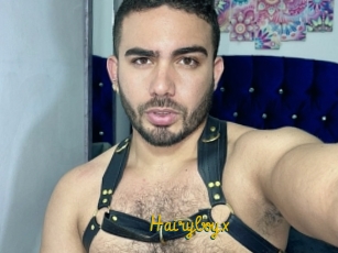 Hairyboyx