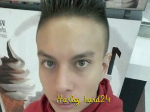Harley_hard24
