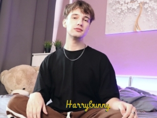 Harrybunny