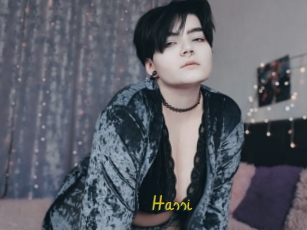 Hassi