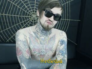 Herbertink