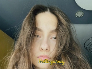 Hollisgarney