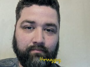 Horneyguy