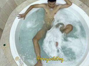Hornywildboy