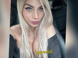 Iggymodel
