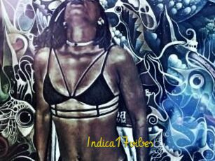 Indica17vibes