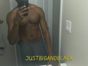 JUSTBIGANDBLACK