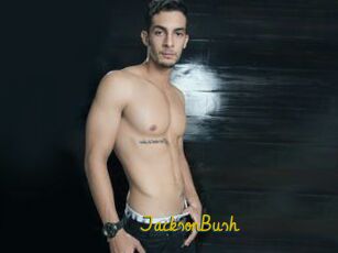 JacksonBush