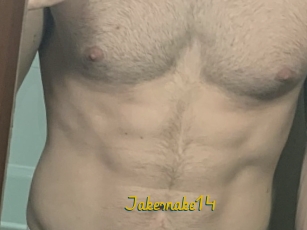 Jakesnake14