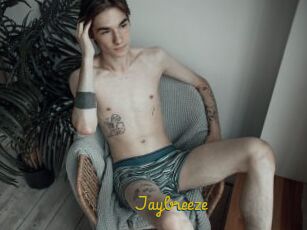 Jaybreeze