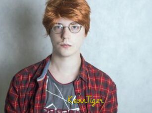 KevinTiger