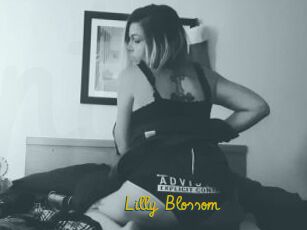 Lilly_Blossom