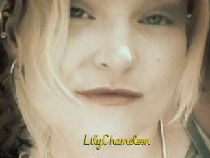 LilyChameleon