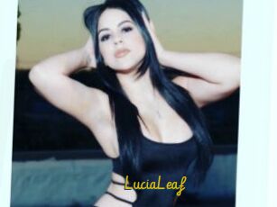 LuciaLeaf