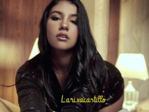 Larixacastillo