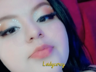 Leidycercy