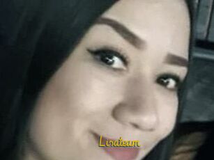 Lisateam