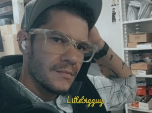 Litlebigguy