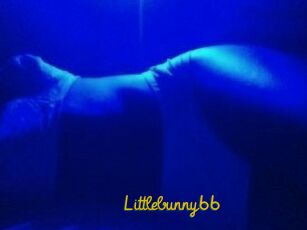 Littlebunny66