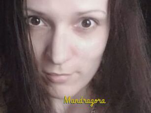 Mandragora