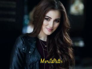 MeriWatts