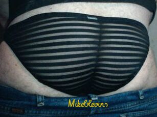 Mikeblevins